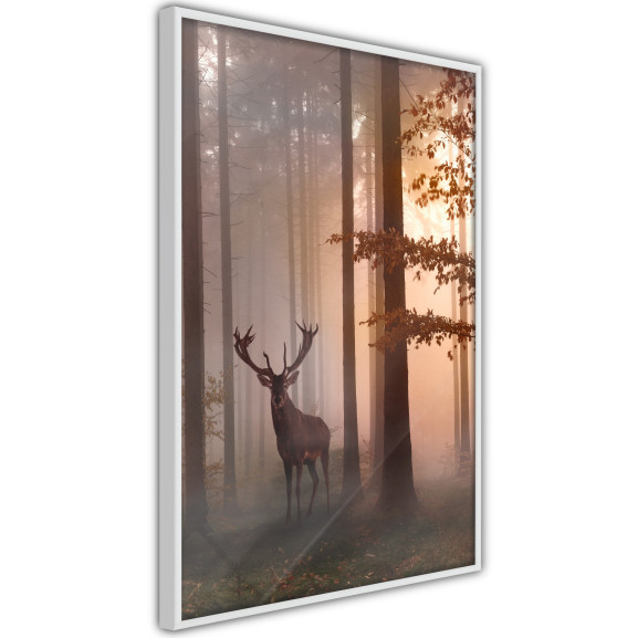 Poster Forest Seclusion