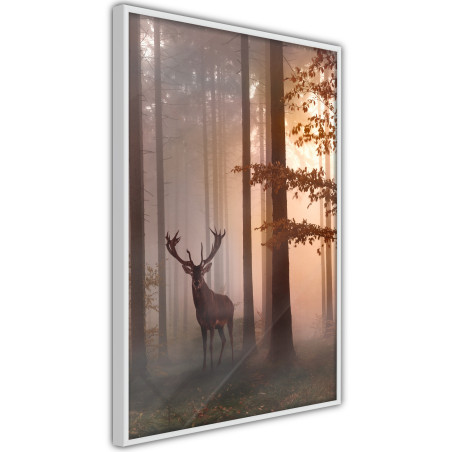 Poster Forest Seclusion-01