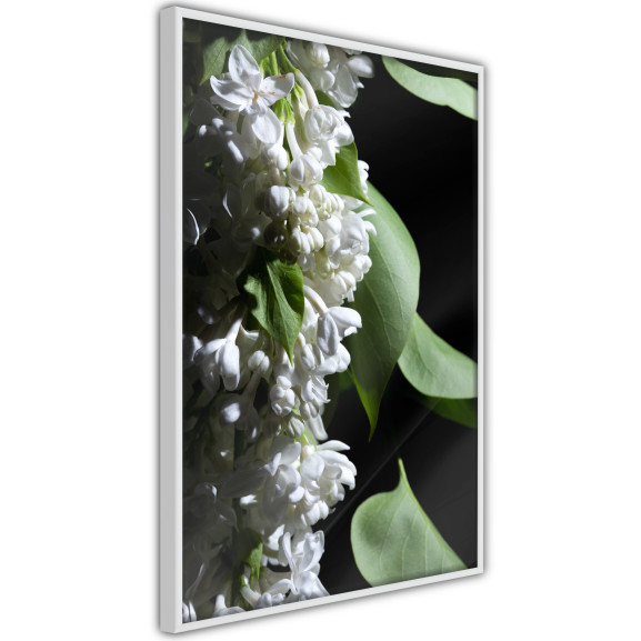 Poster Fragrant Spring