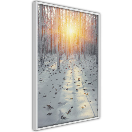 Poster Frosty Sunset-01