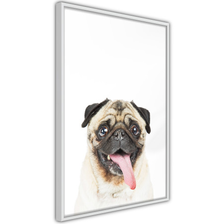 Poster Funny Pug-01