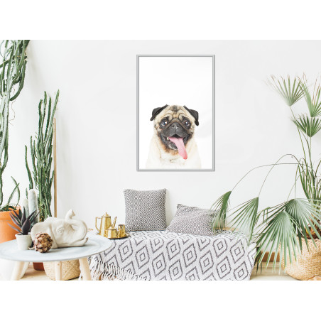 Poster Funny Pug-01