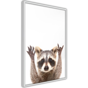 Poster Funny Racoon