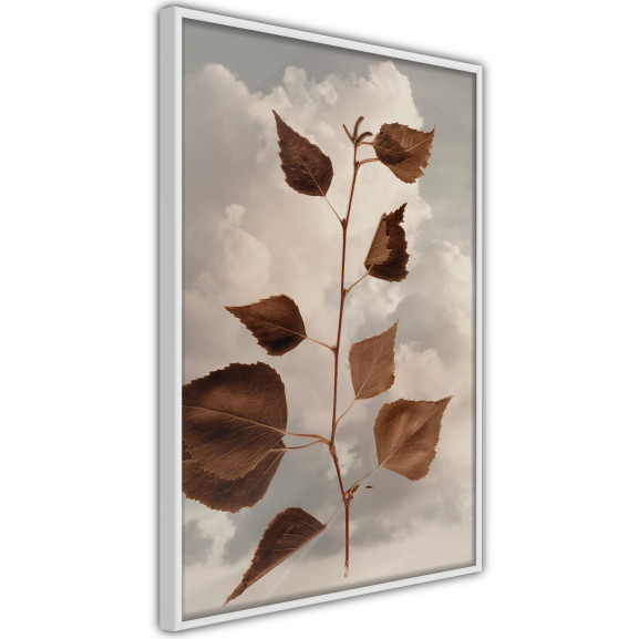 Poster Leaves in the Clouds