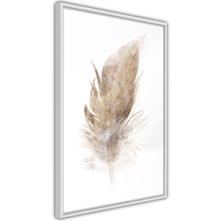 Poster Lost Feather (Beige)-01