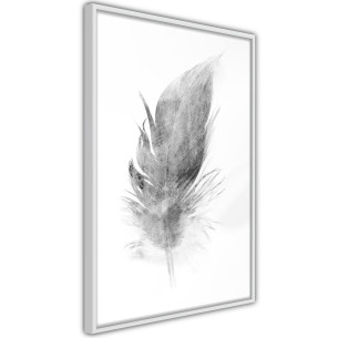 Poster Lost Feather (Grey)