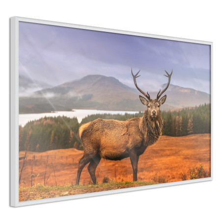 Poster Majestic Deer-01