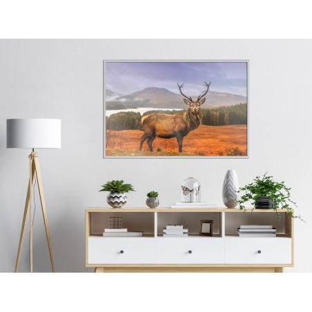 Poster Majestic Deer-01