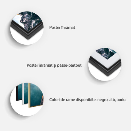 Poster Neoplastic Composition-01