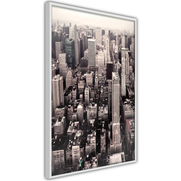 Poster New York from a Bird's Eye View