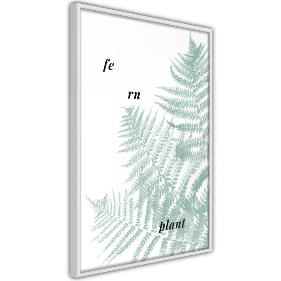 Poster Pale Green Fern