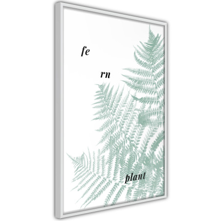 Poster Pale Green Fern-01