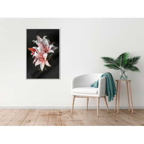 Poster Pale Pink Lilies