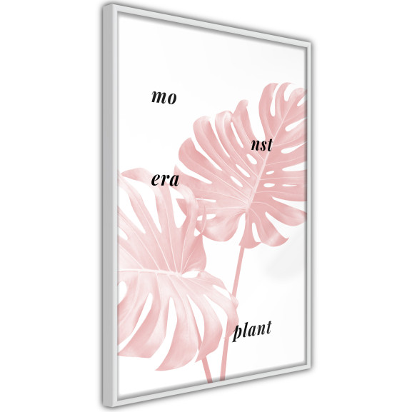 Poster Pale Pink Monstera