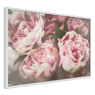 Poster Pastel Peonies