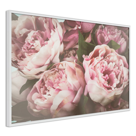 Poster Pastel Peonies-01