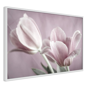 Poster Pastel Tulips I