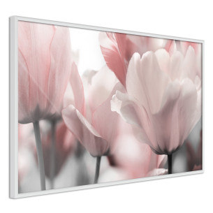 Poster Pastel Tulips II