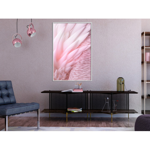 Poster Pink Feathers