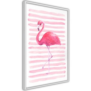 Poster Pink Madness