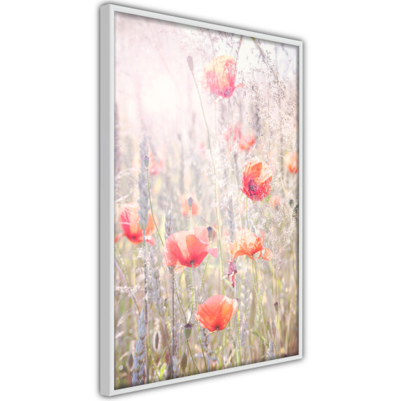 Poster Poppies