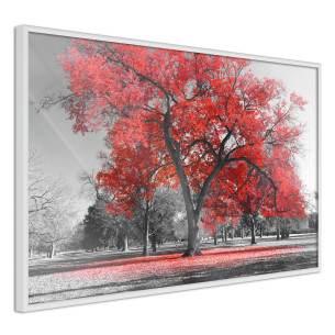 Poster Red Tree