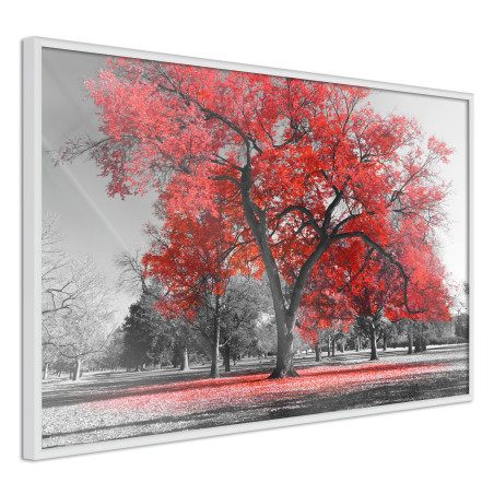 Poster Red Tree-01