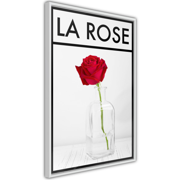 Poster Rose in the Vase