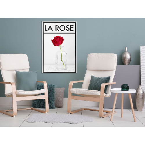 Poster Rose in the Vase