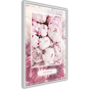 Poster Scent of Peonies