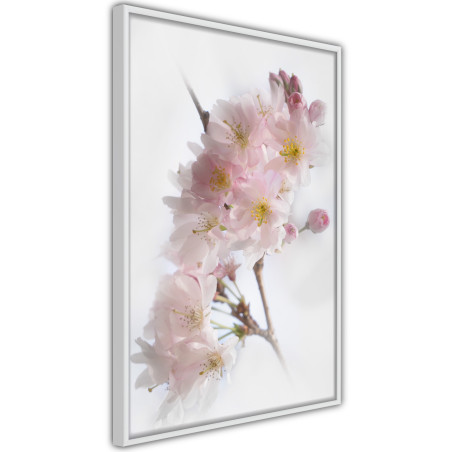 Poster Scent of Spring-01