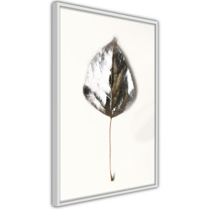 Poster Silvery Leaf