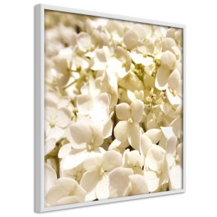 Poster Soothing Flowers