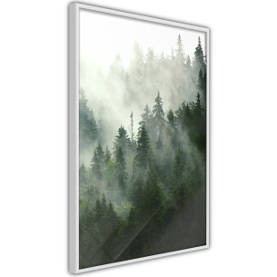 Poster Steaming Forest