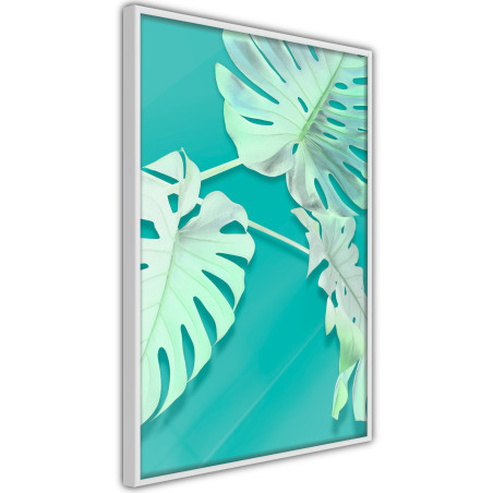 Poster Teal Monstera-01