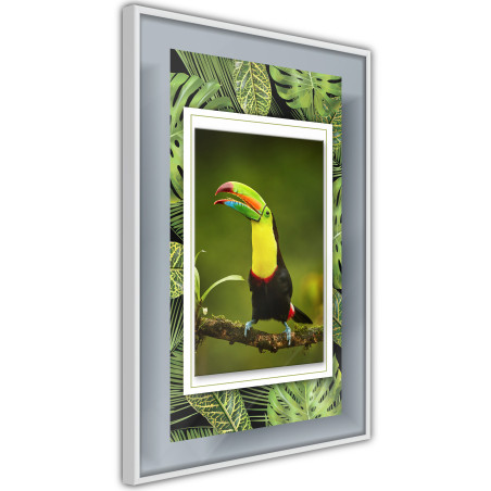 Poster Toucan in the Frame-01