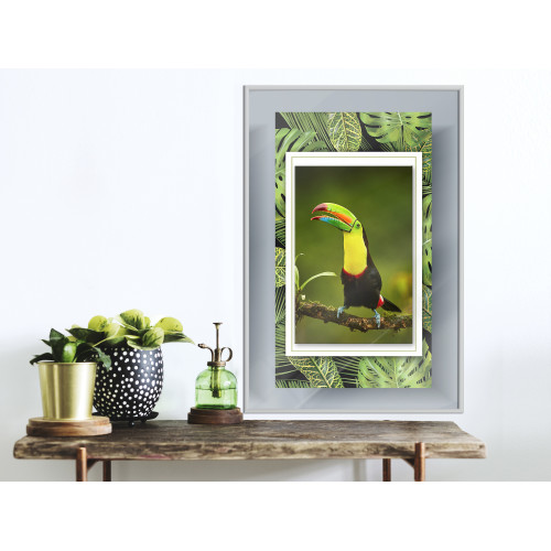 Poster Toucan in the Frame