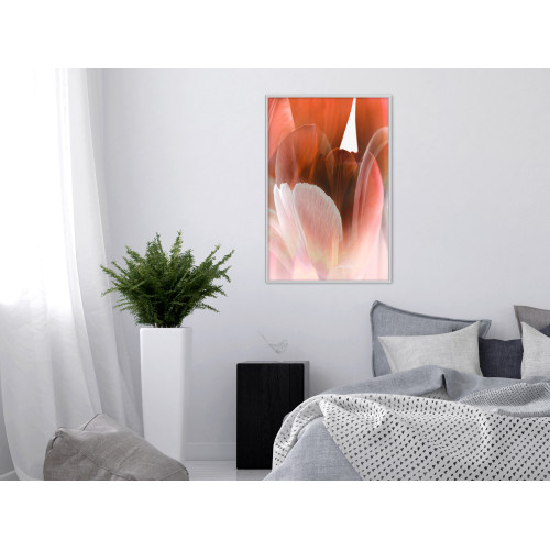 Poster Tulip Petals