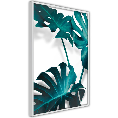 Poster Turquoise Monstera II-01