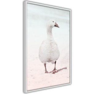 Poster Walking Goose