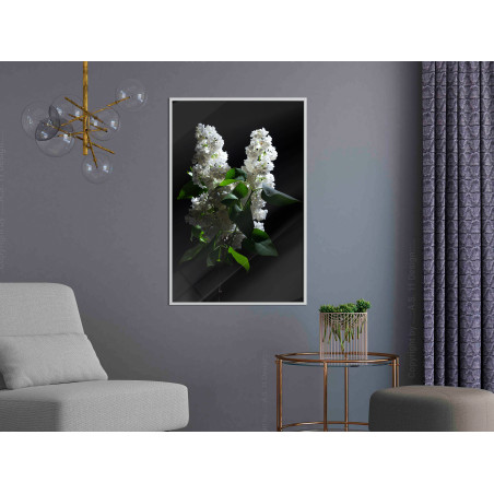 Poster White Lilac-01