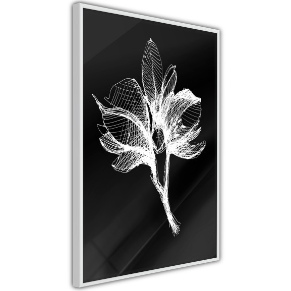 Poster White Plant