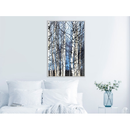 Poster Winter Birch Trees-01