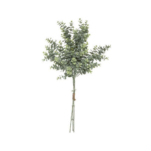 Buchet Eucalyptus, 64 Cm