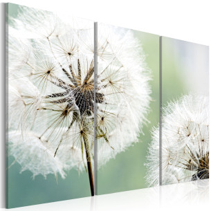 Tablou Fluffy Dandelions