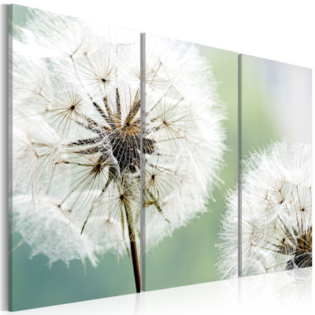 Tablou Fluffy Dandelions-01