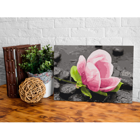 Pictatul Pentru Recreere Pink Flower And Stones-01