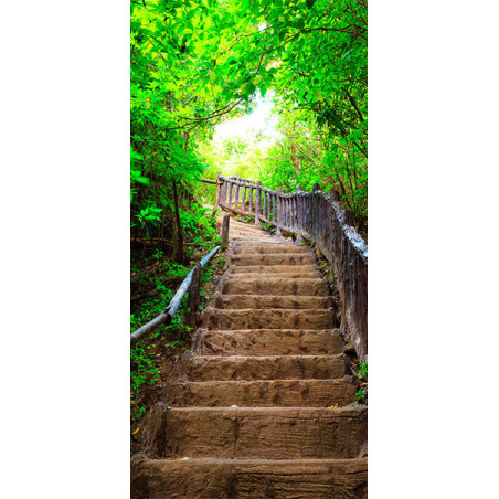 Fototapet Pentru Ușă Photo Wallpaper – Stairs From Nature I-01