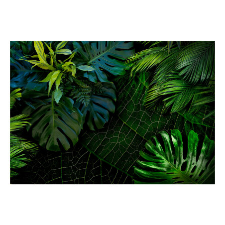 Fototapet Dark Jungle-01