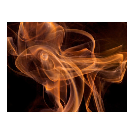 Fototapet Smoke Art-01